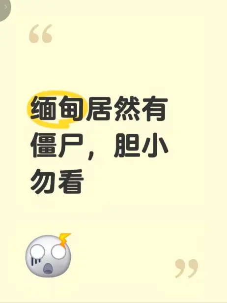 缅甸僵尸出土事件高清完整版在线免费播放-揭秘缅北僵尸出土事件真相资源下载