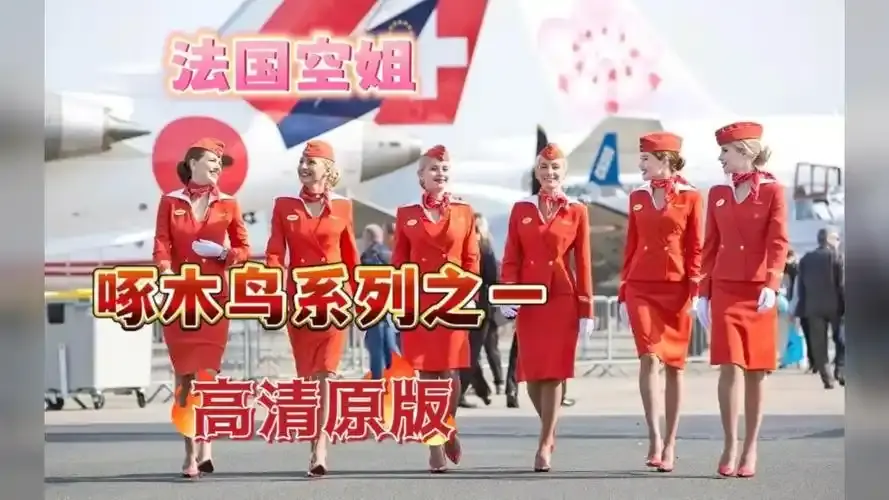 《法国空姐4》资源下载-法国空姐4完整版免费在线观看超高清-法版空姐2019高清4K无卡顿-法国空姐1-3季全集