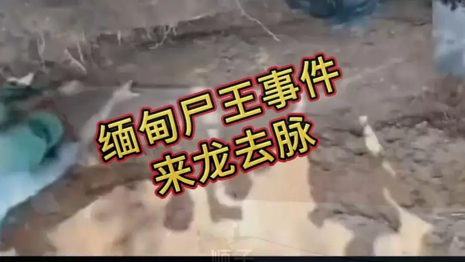 缅甸僵尸出土事件视频完整版资源在线观看免费播放 - 诡异真相解密高清下载 - 缅北僵尸出土事件始末原视频无删减全程录像